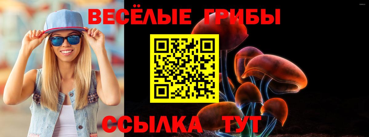 Псилоцибиновые грибы ЛСД  Псилоцибиновые грибы мицелий  Сафоново  где продают наркотики  Вход с VPN 